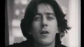 cseh tamás - egy bogár