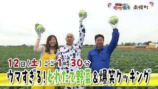 のりのり