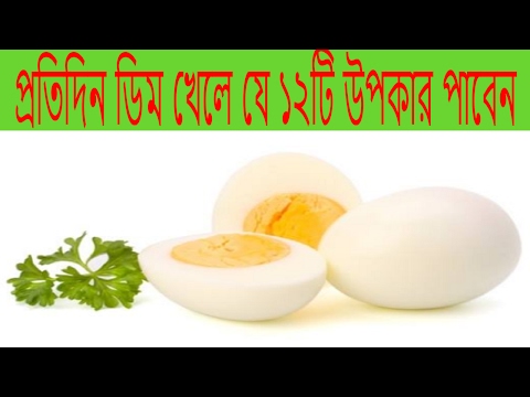 প্রতিদিন ডিম খেলে যে ১২টি উপকার পাবেন||Dimer Upokarita||ডিমের উপকারিতা
