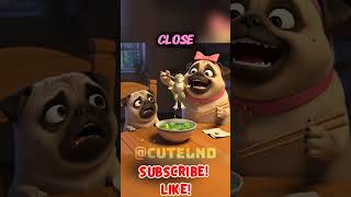 Download lagu Mom I Don’t Want To Eat Frogs! 🐸😖🍽️🐶 #pug #funny #animation #puppy mp3 Download lagu Mom I Don’t Want To Eat Frogs! 🐸😖🍽️🐶 #pug #funny #animation #puppy mp3