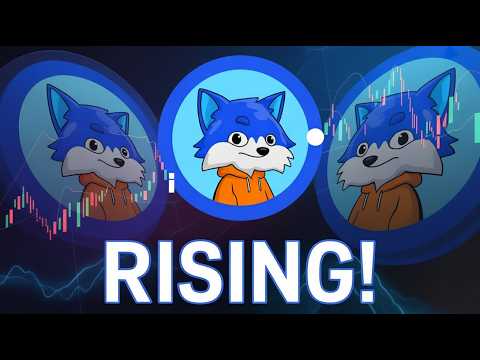 Toshi on the Brink: Is $TOSHI Preparing for Liftoff or a Breakdown?