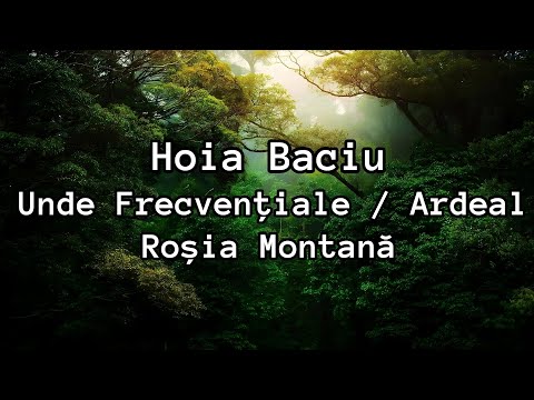 123-RO | telepat Mary | Hoia Baciu / Unde Frecvențiale - Hipnoza Regresiva - Iuliana Vlăsceanu