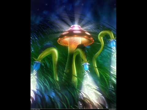 Dark Elf - Hot Blood