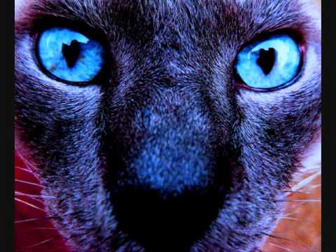 1200 Micrograms- Africa