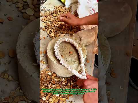How to Crack Almond Shells for Whole Almonds