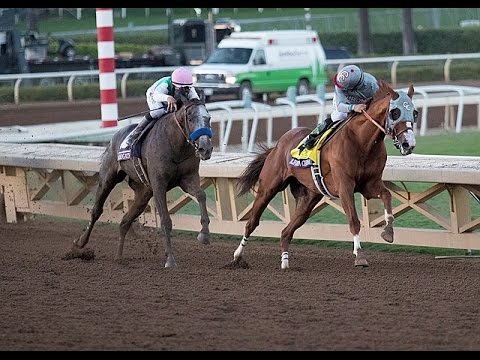 BREEDERS CUP CLASSIC 2016 - ARROGATE - FULL STORY