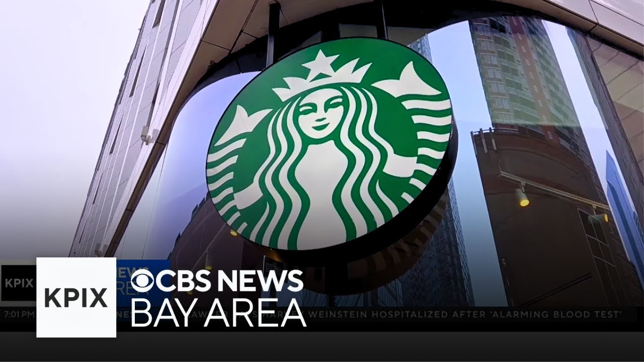 Confusion over plastic Starbucks cups raises concerns over recycling