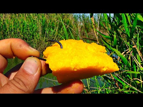 Pescuit la pluta secretul la mamaliga