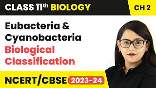 Eubacteria & Cyanobacteria - Biological Classification | Class 11 Biology Chapter 2 | NCERT/CBSE