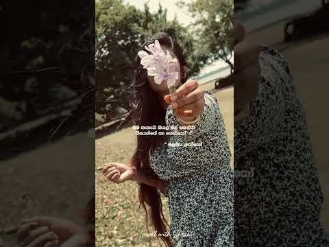 නොරිකෝ මේ මල නුඹට…| Noriko Me Mala Nubata| #shorts #viralvideo ##trending #gangadara #flowers #love