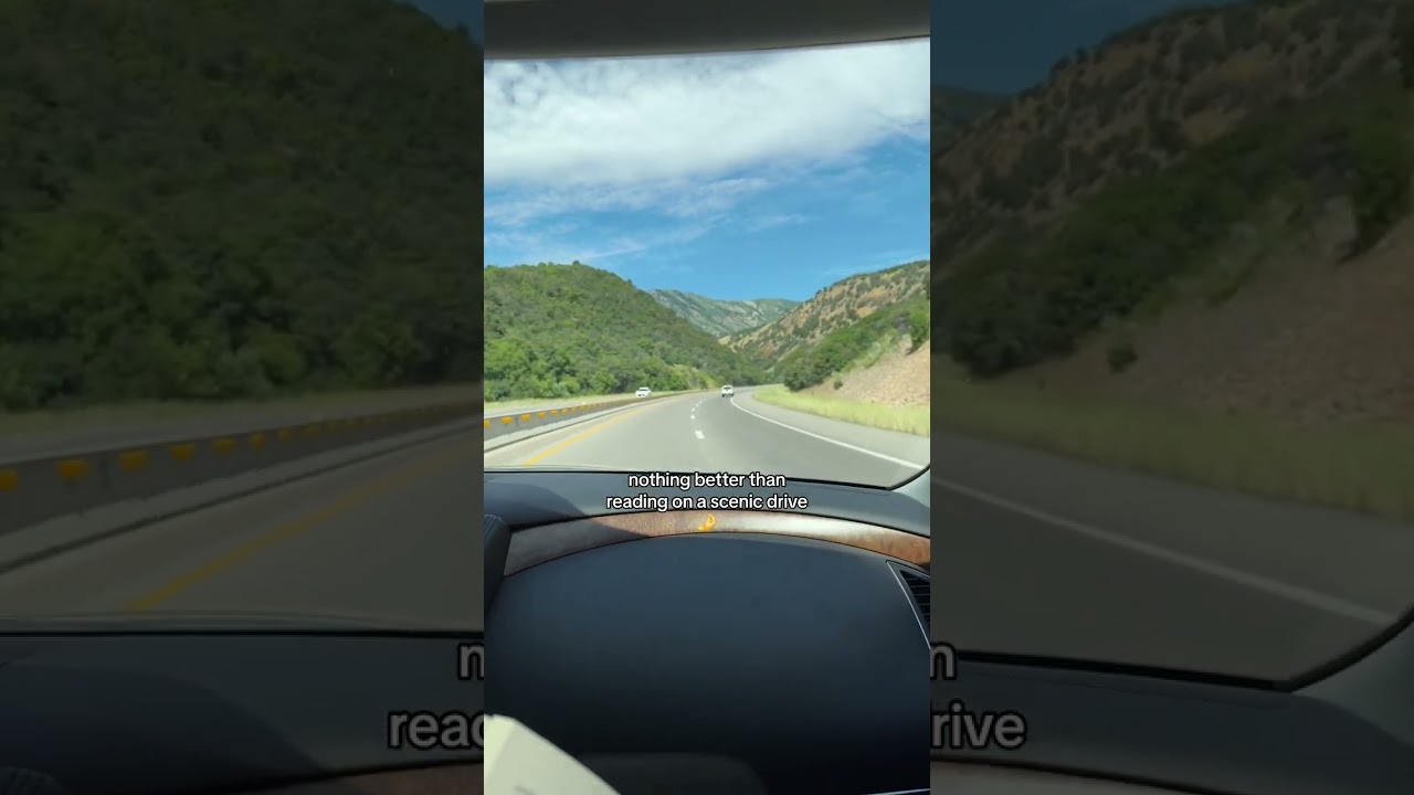Simple pleasures 🥰 #booktok #bookish #roadtrip #reading