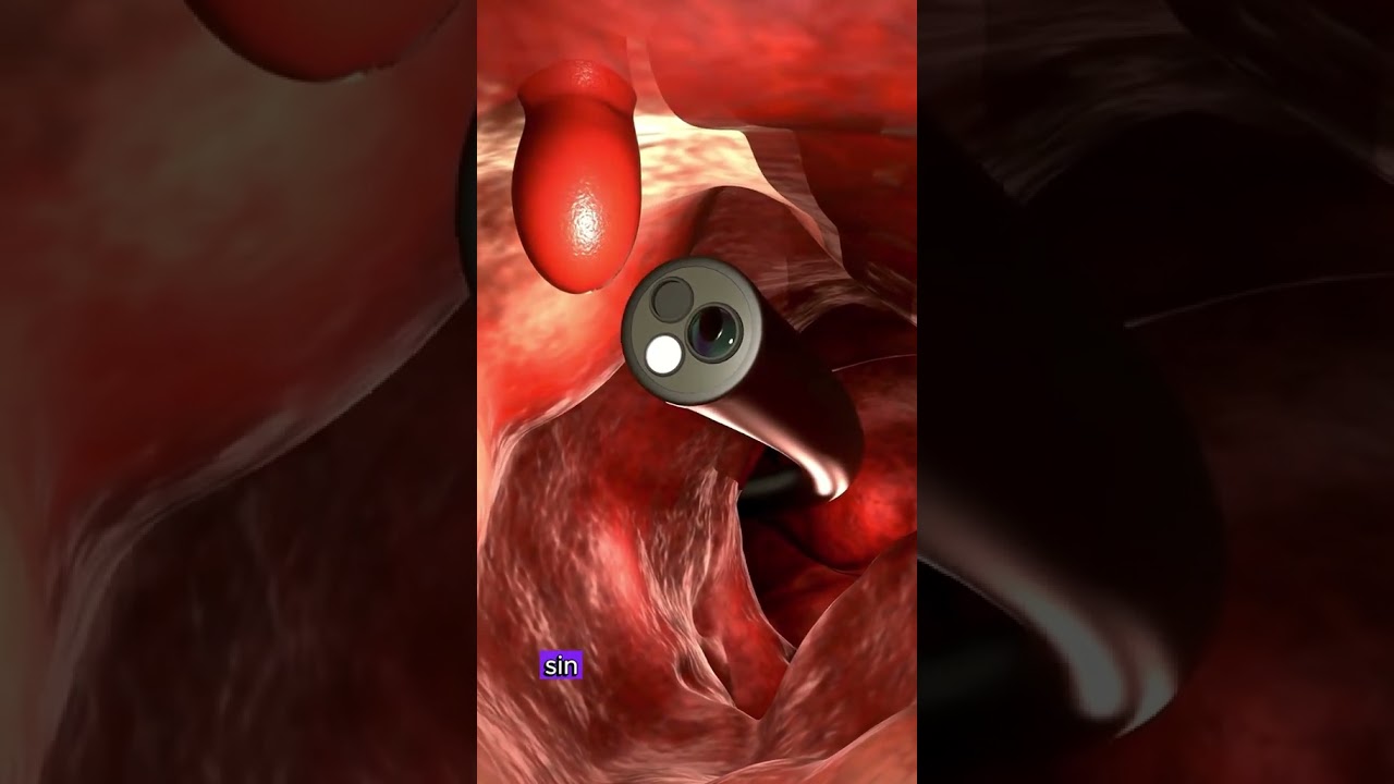 Alejandro Meneses Parga-83