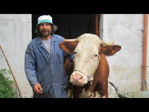 Nico - Spirito Libero - Contadino In Carnia