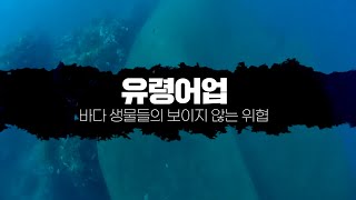 버려진 어구가 계속 잡는 유령어업… 우리가 막을 수 있습니다! | 찾아가는 유령어업 예방 교육