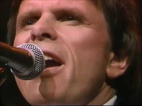 Del Shannon Montage