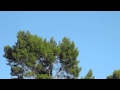 Hollywood Bowl Helicopter Flyover Demonstration