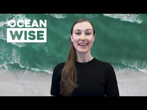 The Plastic Wave (for Grades 4-7)