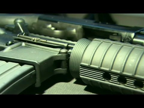 Chicago Mayor Rahm Emanuel: One gun purchase per month