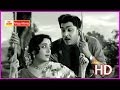 Ee Vela Naalo Enduko Aasalu Evergreen Telugu Song Between ANR Jamuna Mooga Nomu HD