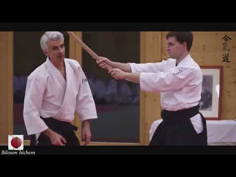 #aikido #Bruno #gonzalez (tachi dori
