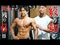 【減量末期】体脂肪4%台!大会前最後の胸トレ!ベストボディジャパンまで残り6日!【筋トレ】