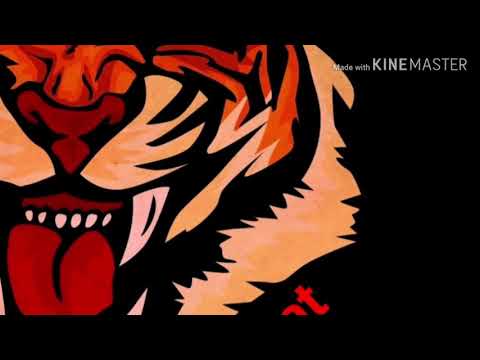 Bakha84 & Shakhboz - Kujoi 2019