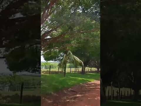 Santa luzia do oeste Rondônia