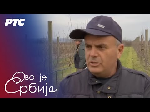 Ovo je Srbija 12.2.2026.
