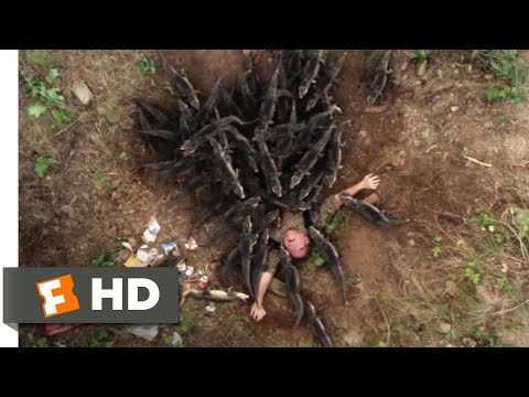 レイクプラシッドvs.アナコンダ』（2015年）-クロコダイルの群れのシーン（1/10）｜Movieclips (Lake Placid vs. Anaconda (2015) - Crocodile Swarm Scene (1/10) | Movieclips)