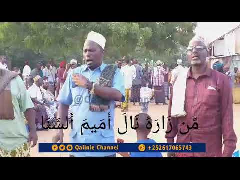 Sali Aad u macan | khaliif  armiye| Daawasho Wacan 👀