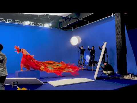 Peacock dance by Chinese artist Yang Liping