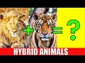 HYBRID ANIMALS Animals That Actually Exist