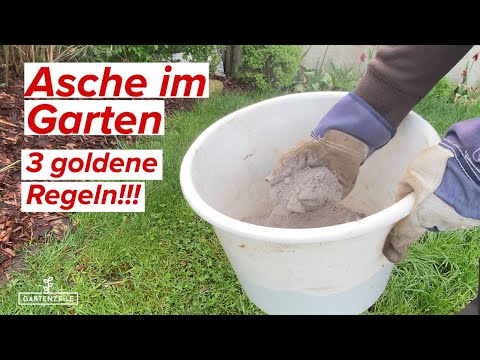 Asche als Dünger im Garten! ACHTUNG: Unbedingt diese Regeln beachten, sonst VERGIFTUNG möglich!
