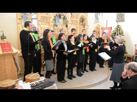 Corul Angeli la colindat 4