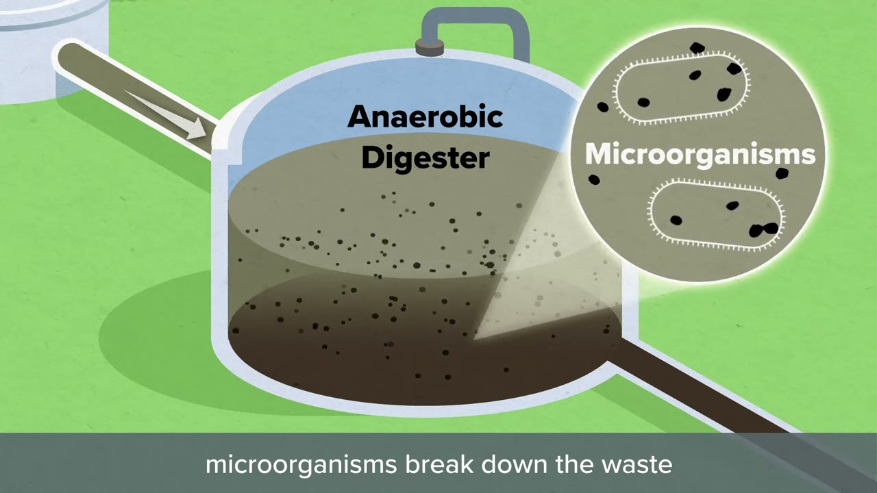 How Biosolids Are Made: From Wastewater Treatment to Agriculture | Charlotte Water