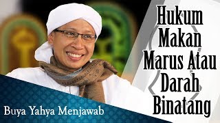 Download lagu Hukum Makan Marus Atau Darah Binatang - Buya Yahya Menjawab mp3