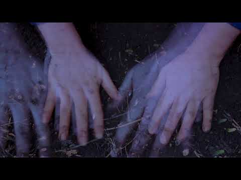 Alexander Tucker -  Don't Look Away (Album Trailer)