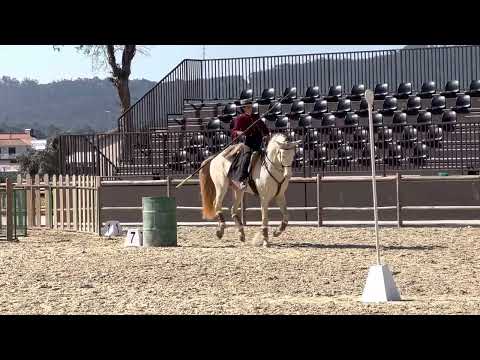 Nicole e Inca - Maneabilidade Trofa