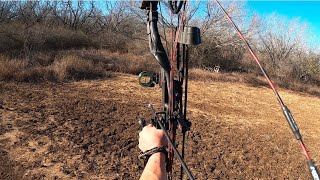 Archery Spot and Stalk Javilina