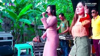 Download lagu ROMANSA NYESS - KALEH WELASKU IMAH FT MALA - PELANG GENERATION PELANG KEDUNGREJO PURWODADI GROBOGAN mp3