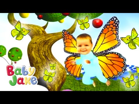 download lagu mp3 mp4 Baby Butterfly, download lagu Baby Butterfly gratis, unduh video klip Baby Butterfly