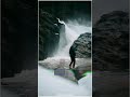 Idhu Varai Whatsapp Status Video Goamovie Yuvanshankarraja Tamilstatus Whatsappstatus Trending