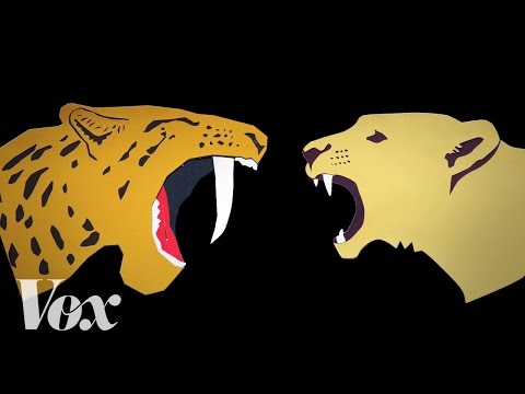 How saber-toothed cats grew their mouth swords