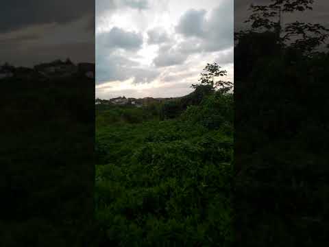 MANGUE | AVENIDA LAURO PORTO | PARQUE SÃO JOSÉ | NOSSA SENHORA DO SOCORRO | SERGIPE | NORDESTE | SE