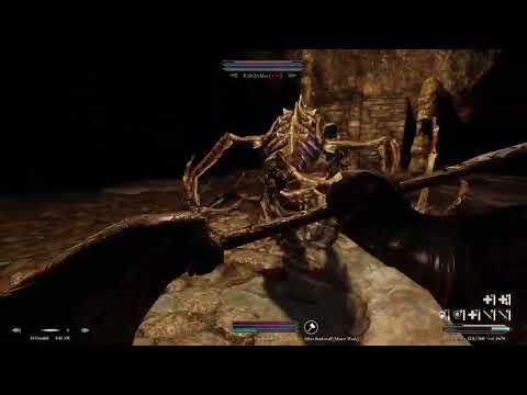 Skyrim Wildlander: Battlestaff Warrior vs. Labyrinthian