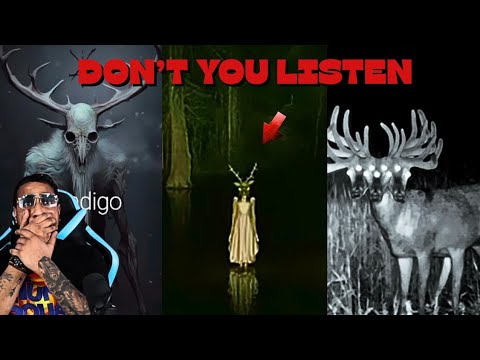 Appalachian Nightmares Caught on Camera 