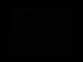 Universal Italian Scrolling Warning 1 Universal And 1 Dreamworks Bumper RARE Dolby Logo 9 6 22