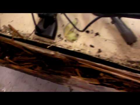 Terry Boat Transom Replacement with Seacast Part 2