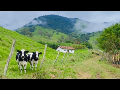 Assista ao vídeo