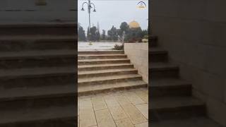 זה מטורף!! הר הבית בעלייה סוערת!🌧 (ישיבת הר הבית) - התמונה מוצגת ישירות מתוך אתר האינטרנט יוטיוב. זכויות היוצרים בתמונה שייכות ליוצרה. קישור קרדיט למקור התוכן נמצא בתוך דף הסרטון